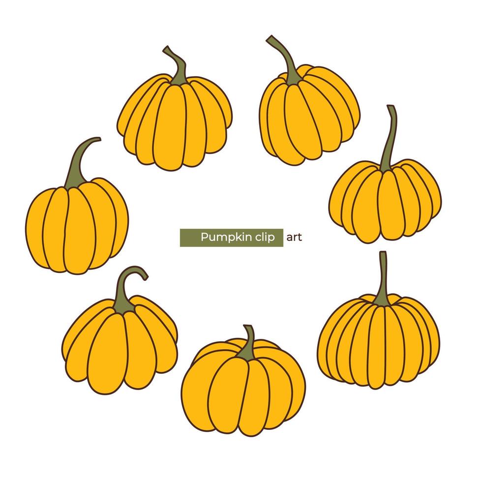 Set of different outline pumpkins. Thanksgiving. Autumn mood. Halloween vector. vector