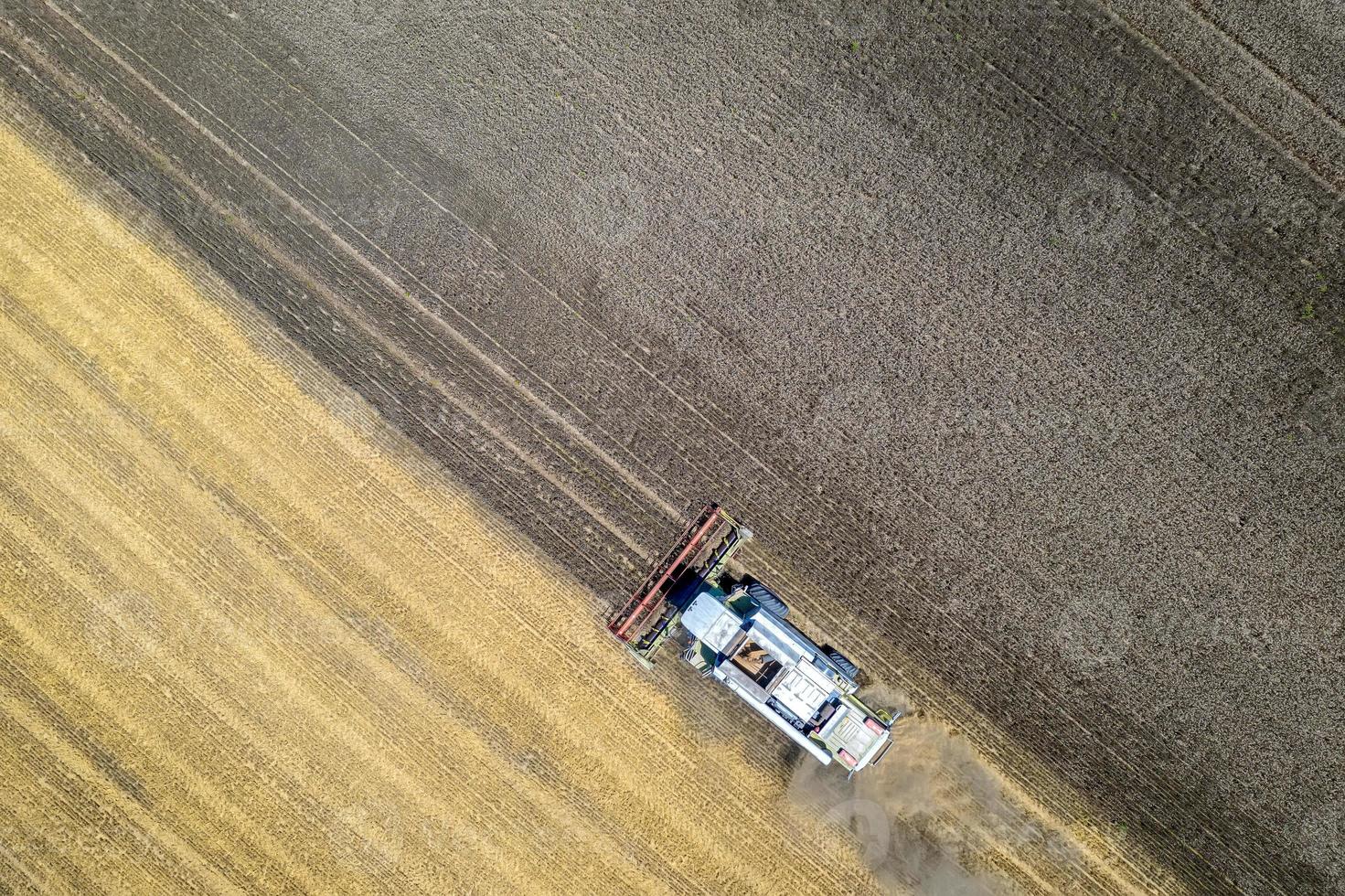 Aerial view drone of harvesting field with combine mows wheat.  Harvesting in the fields. Top view photo