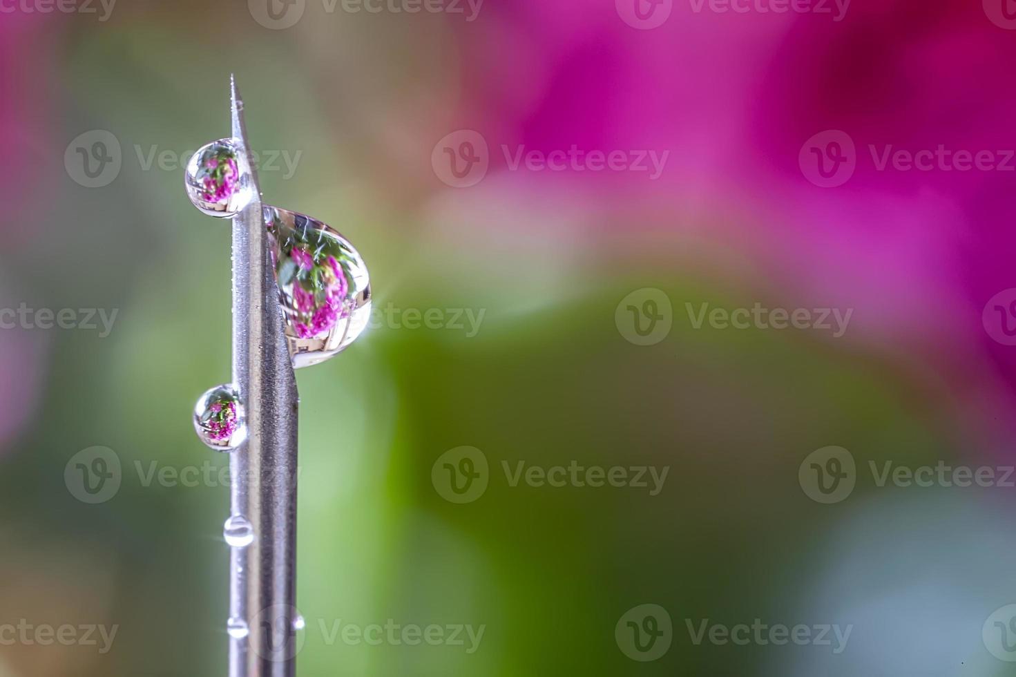 foto macro de una aguja médica para inyección con gotas de líquido con reflejo. vista horizontal