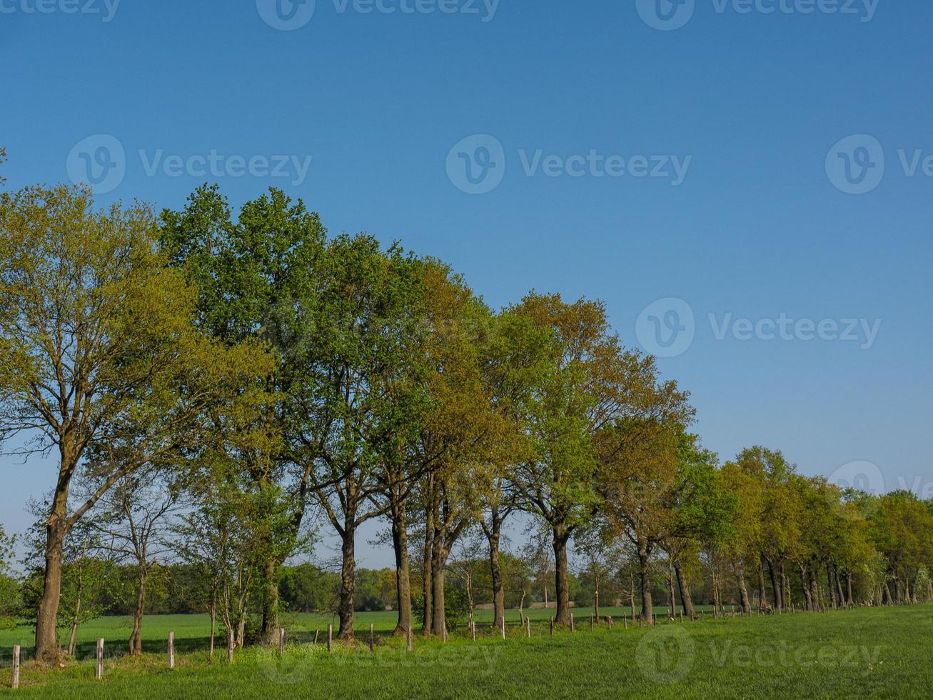 hiking near reken in the german muensterland photo