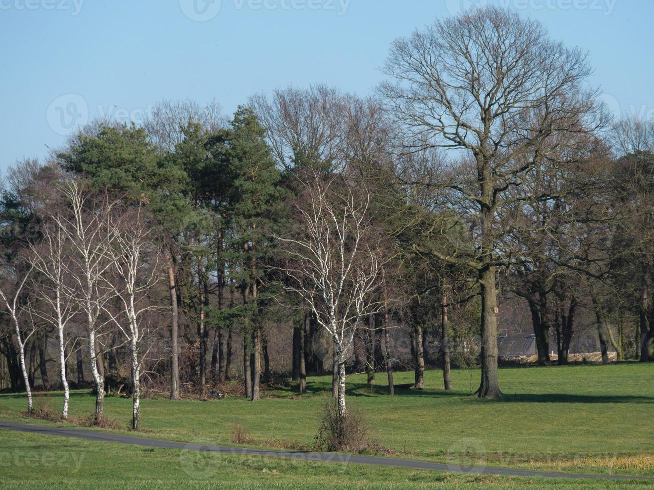 the german muensterland photo