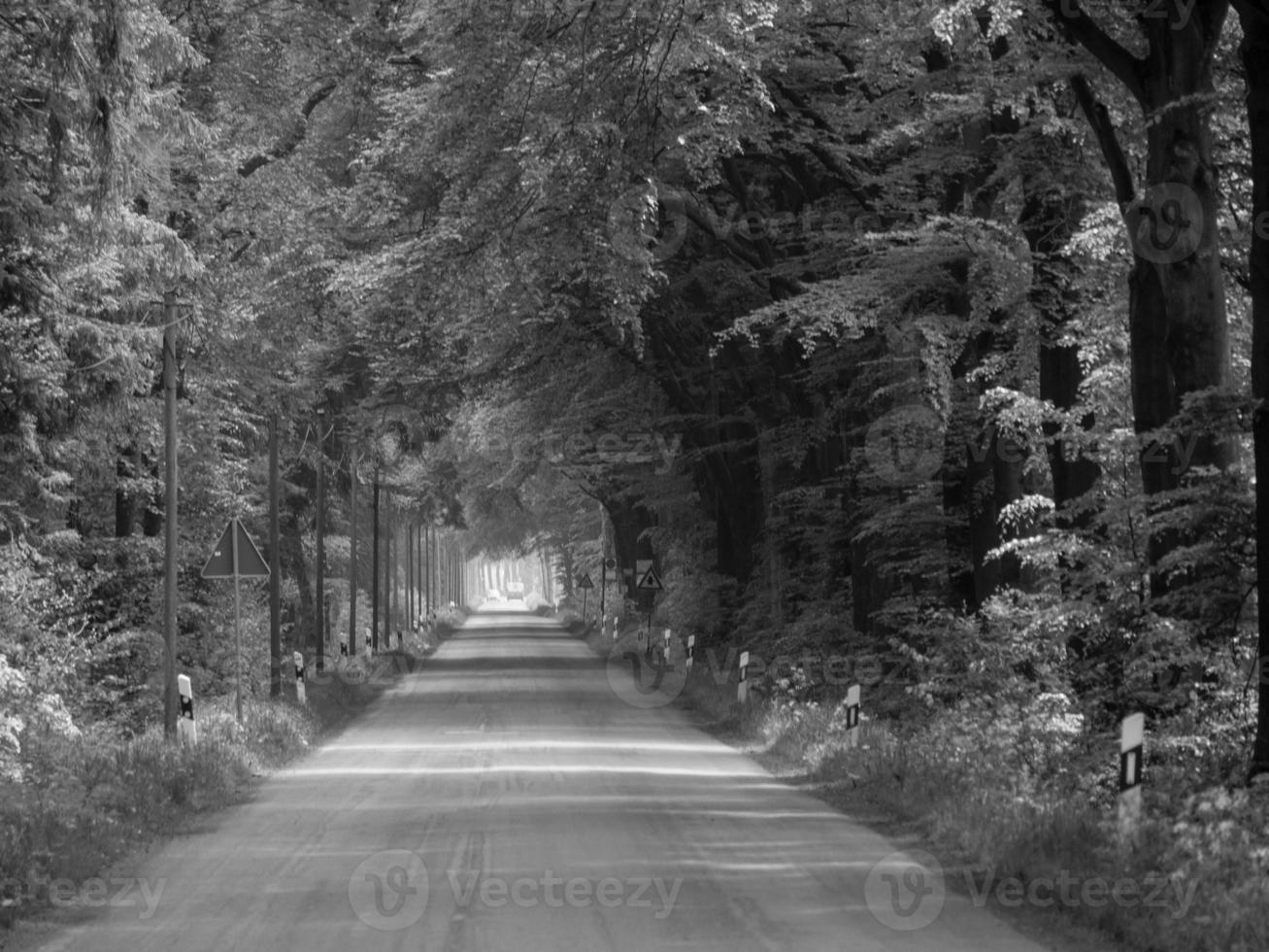 spring time in westphalia photo
