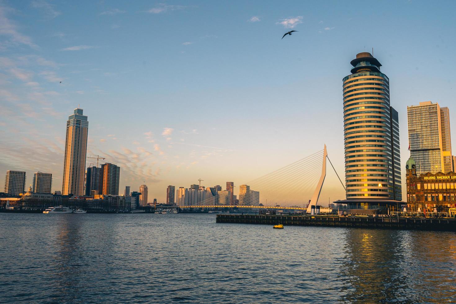 skyline of Rotterdam on 11 January 2022. photo