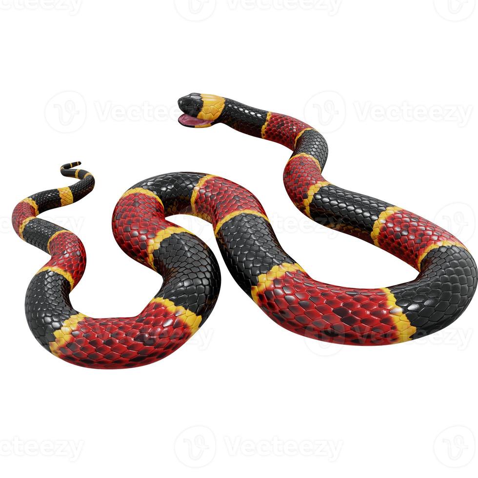 Eastern coral snake 3D illustration. photo