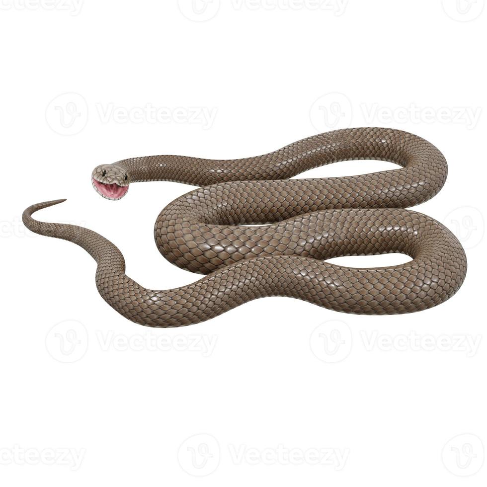 Eastern brown snake 3D illustration. 11800307 Stock Photo at Vecteezy