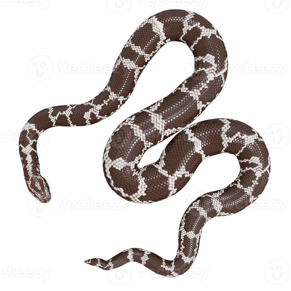 Kenyan sand boa 3d illustration. photo