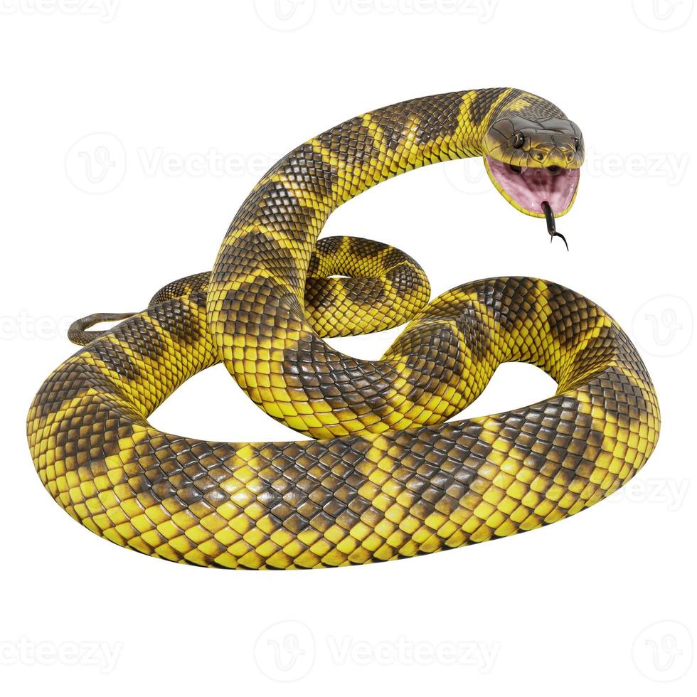 Tiger snake 3D illustration. photo