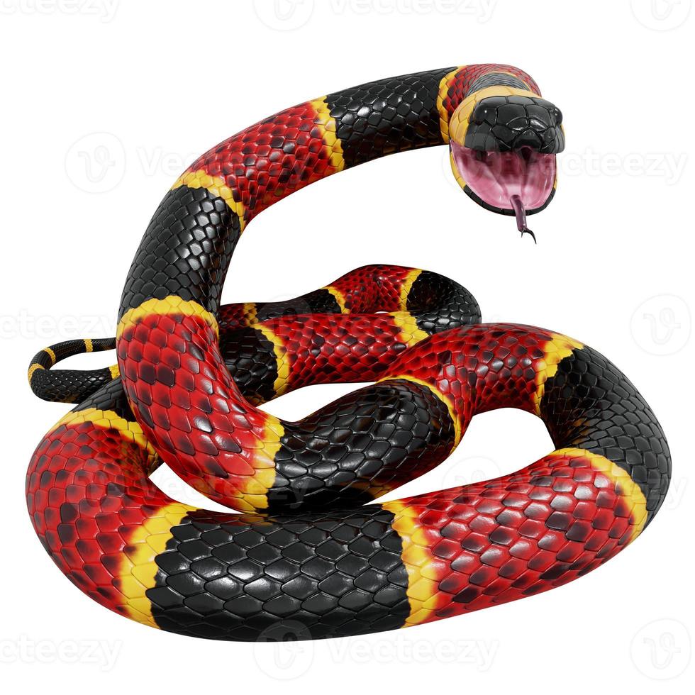 Eastern coral snake 3D illustration. photo