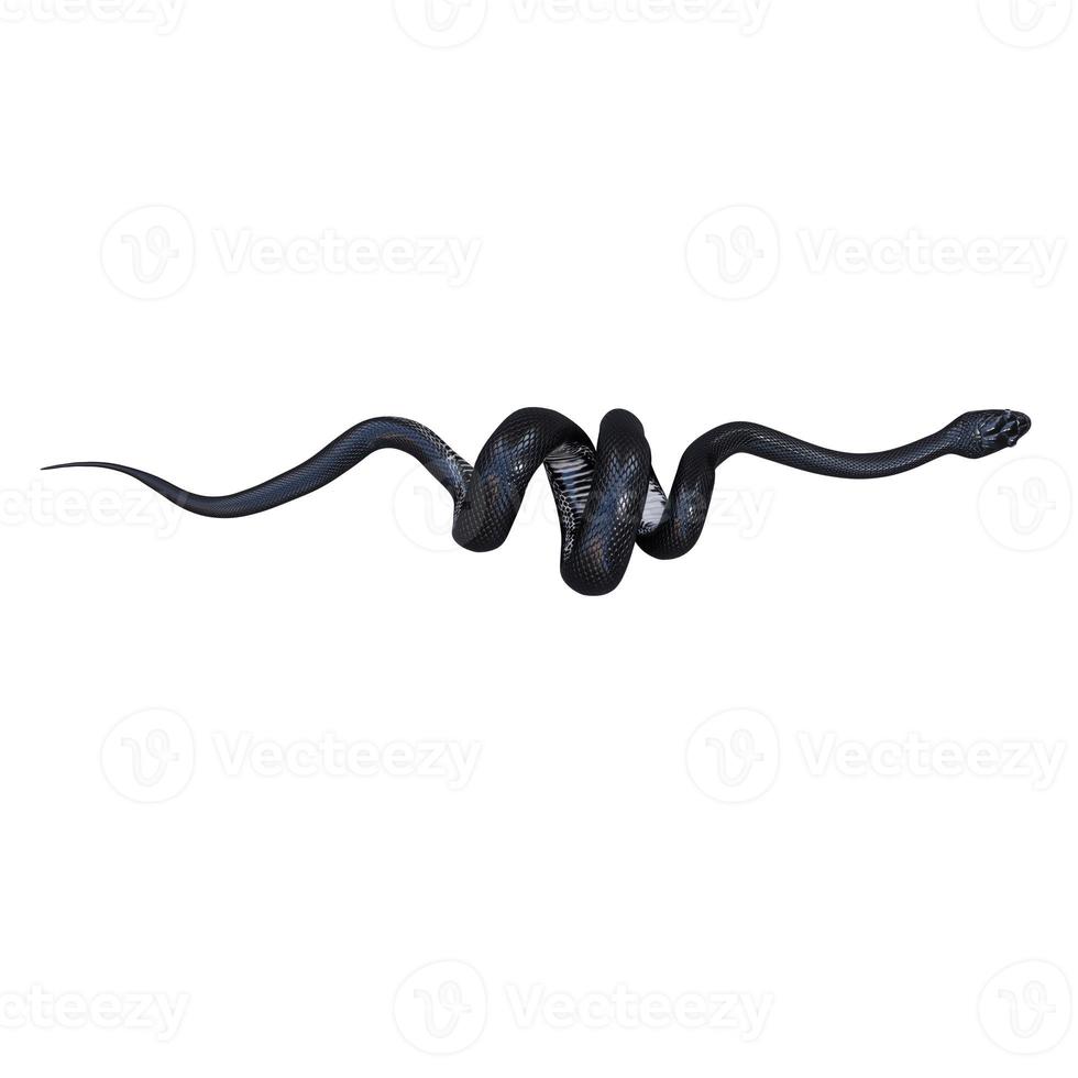 Black rat snake 3D illustration. photo