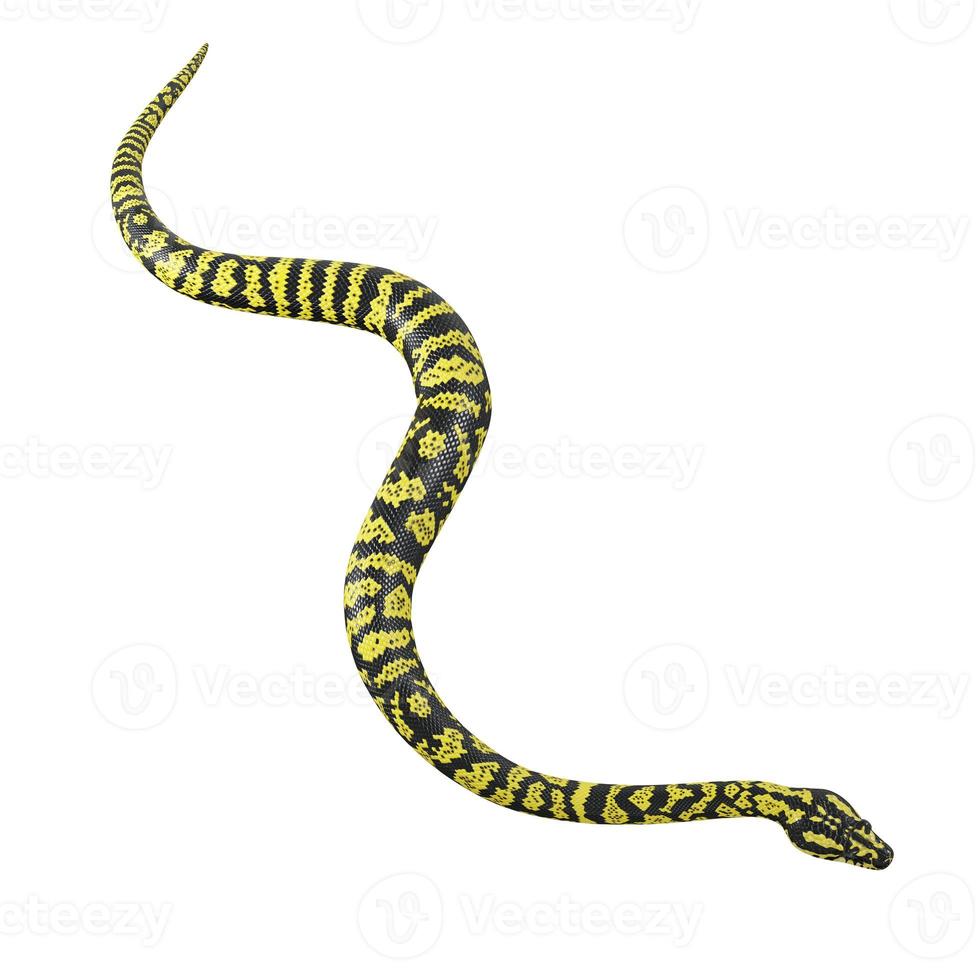 zebra jungle carpet python ilustración 3d. foto