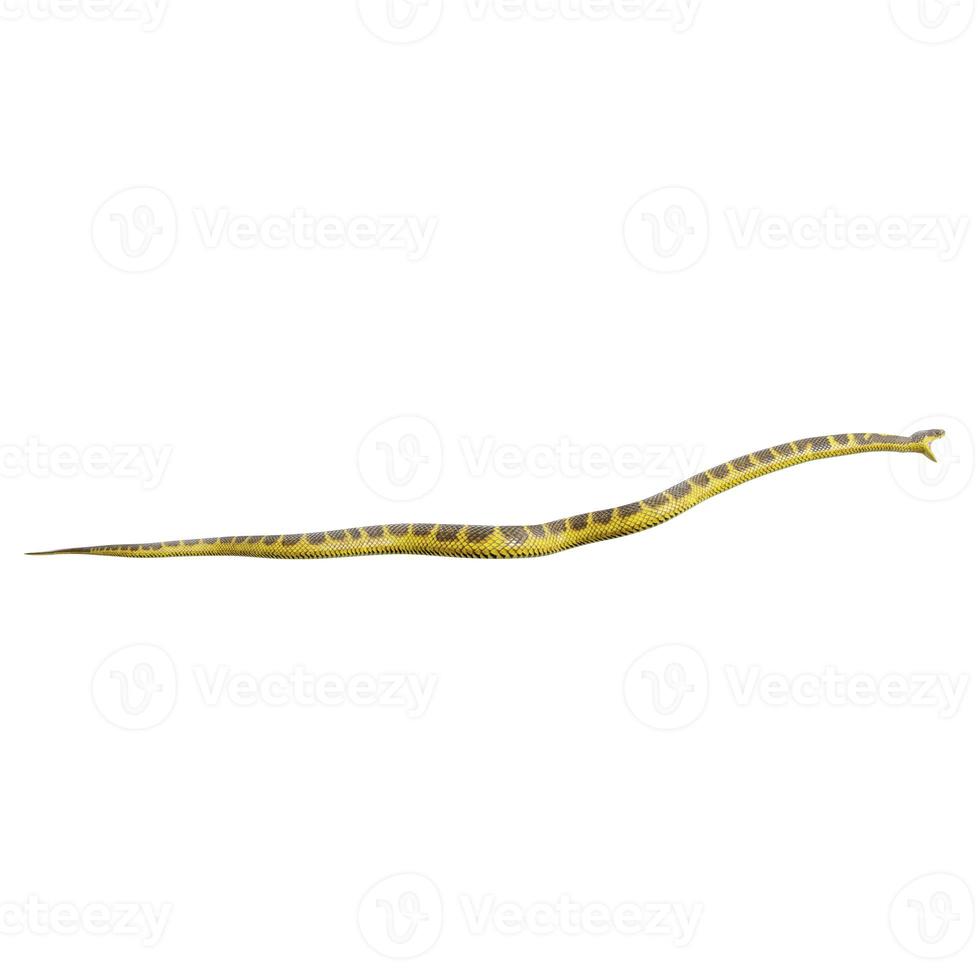 Tiger snake 3D illustration. photo