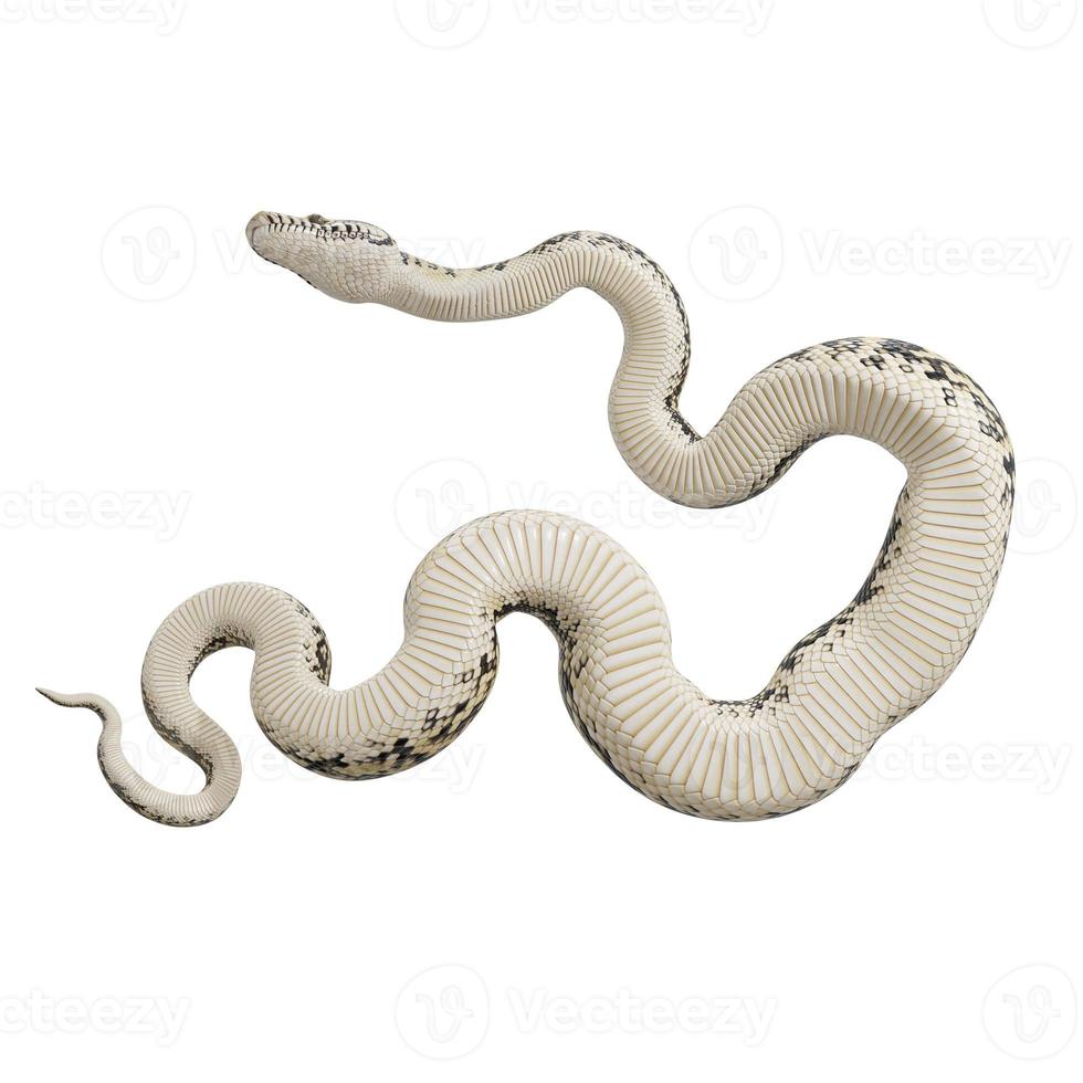 Scrub python 3D illustration. photo