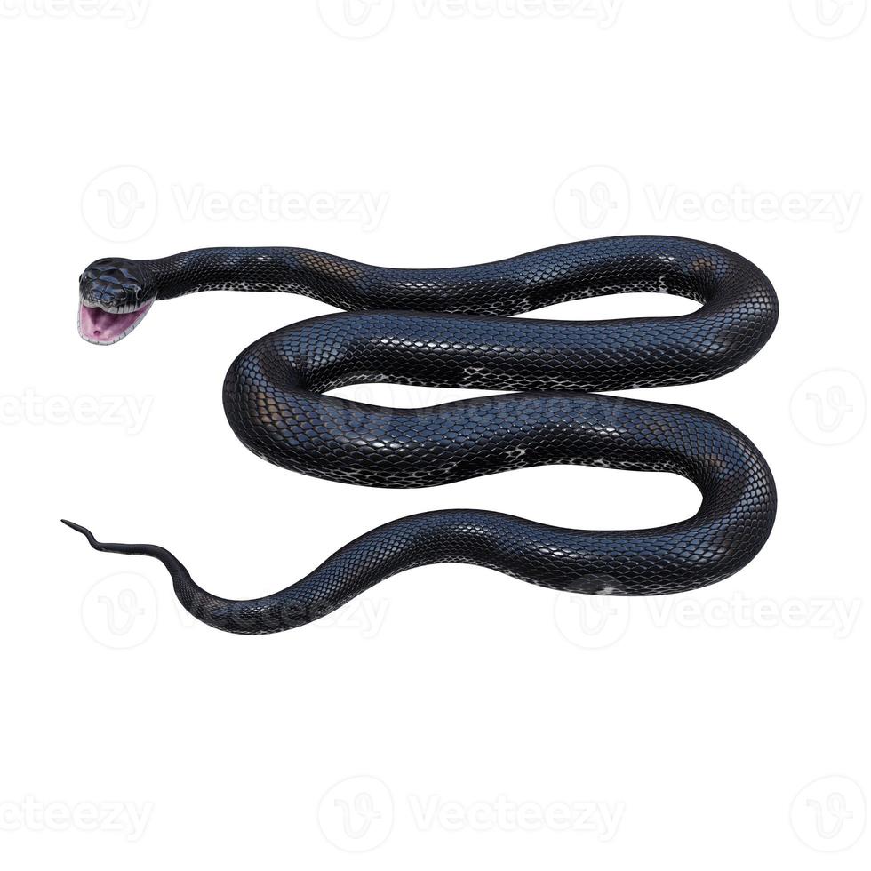 ilustración 3d de serpiente de rata negra. foto