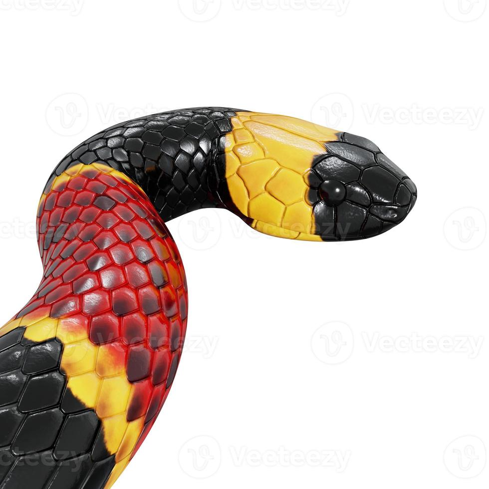 Eastern coral snake 3D illustration. photo