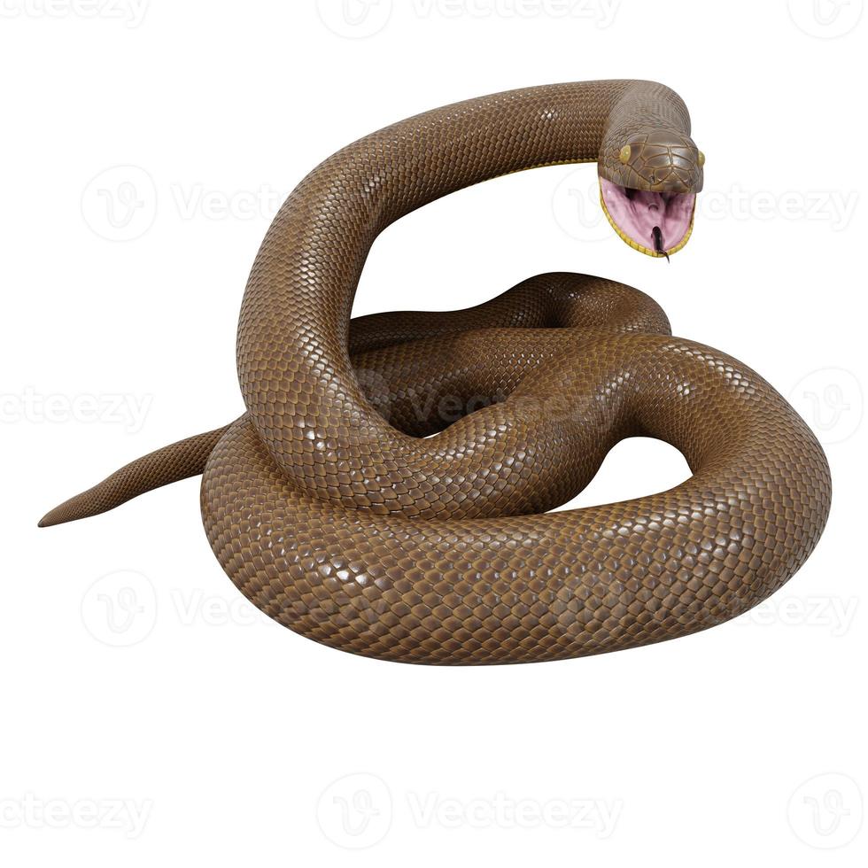 Rubber boa 3D illustration. photo