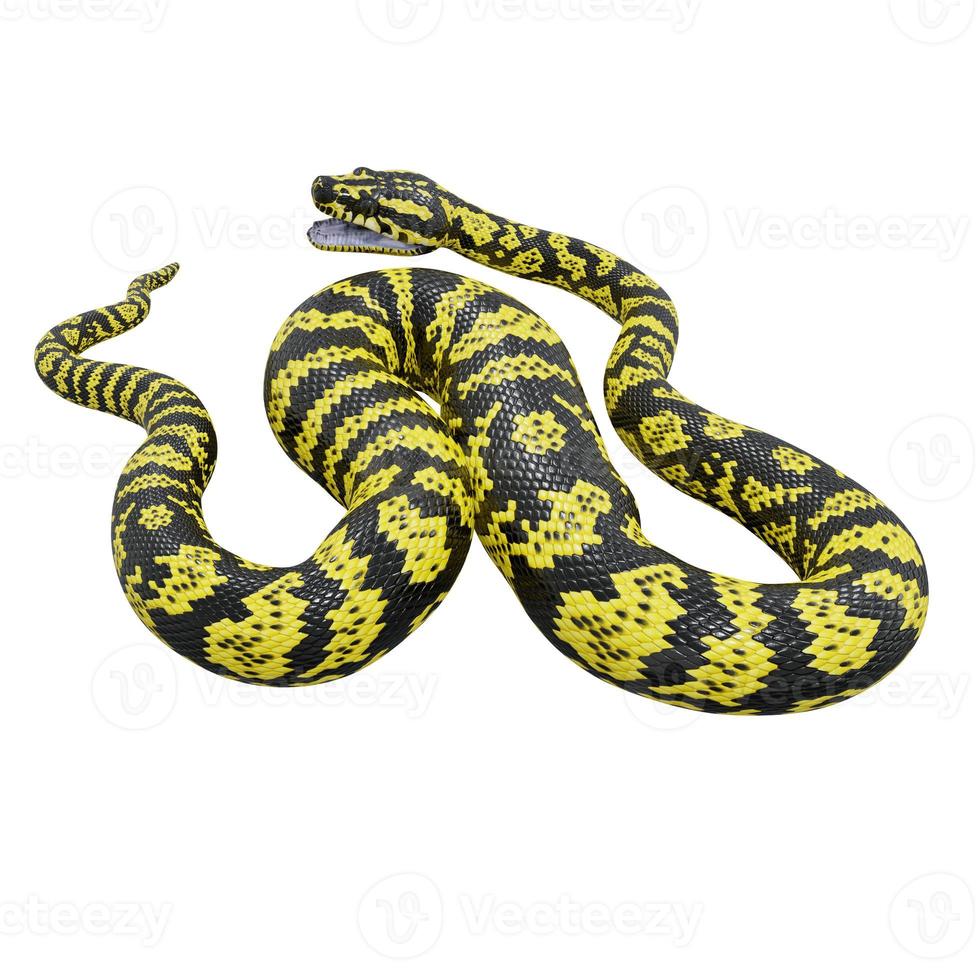 Zebra jungle carpet python 3D illustration. photo