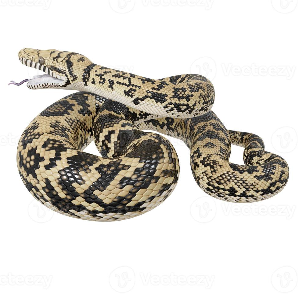 Scrub python 3D illustration. 11800441 Stock Photo at Vecteezy