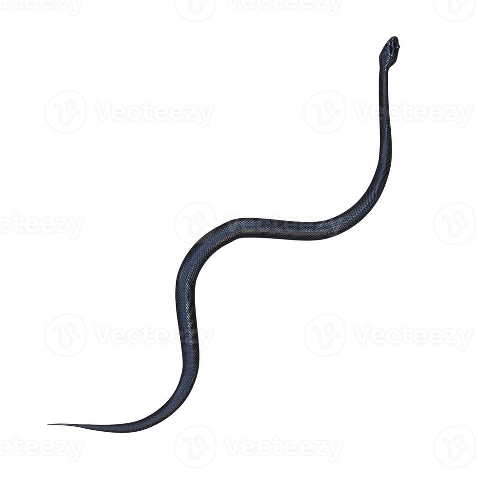 Black rat snake 3D illustration. photo