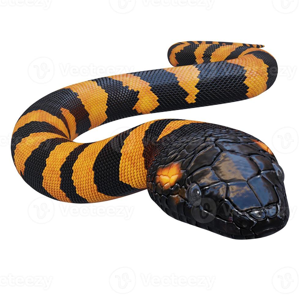 Bismarck ringed python 3D illustration. 11800548 Stock Photo at Vecteezy
