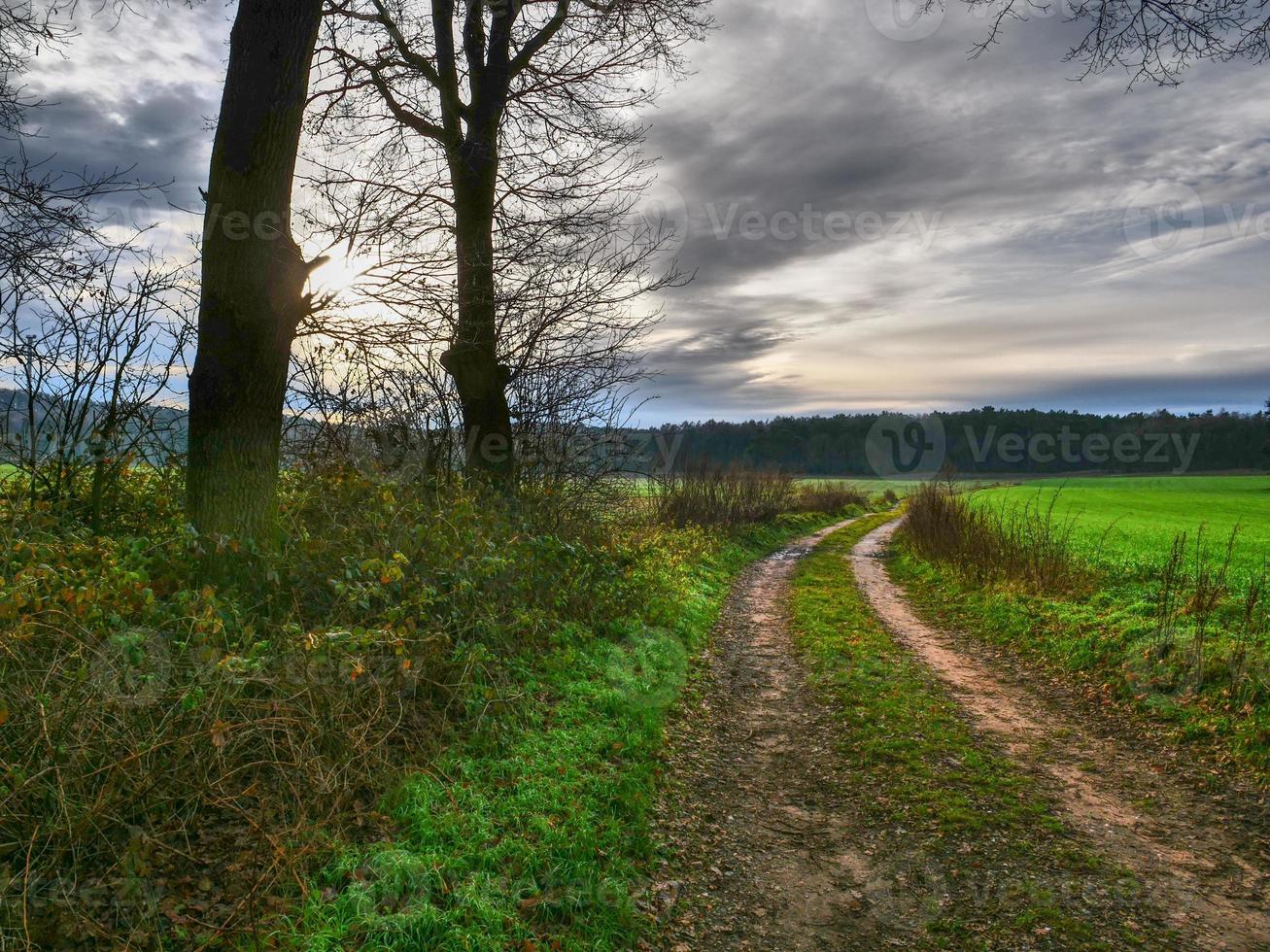 hiking near reken in the german muensterland photo