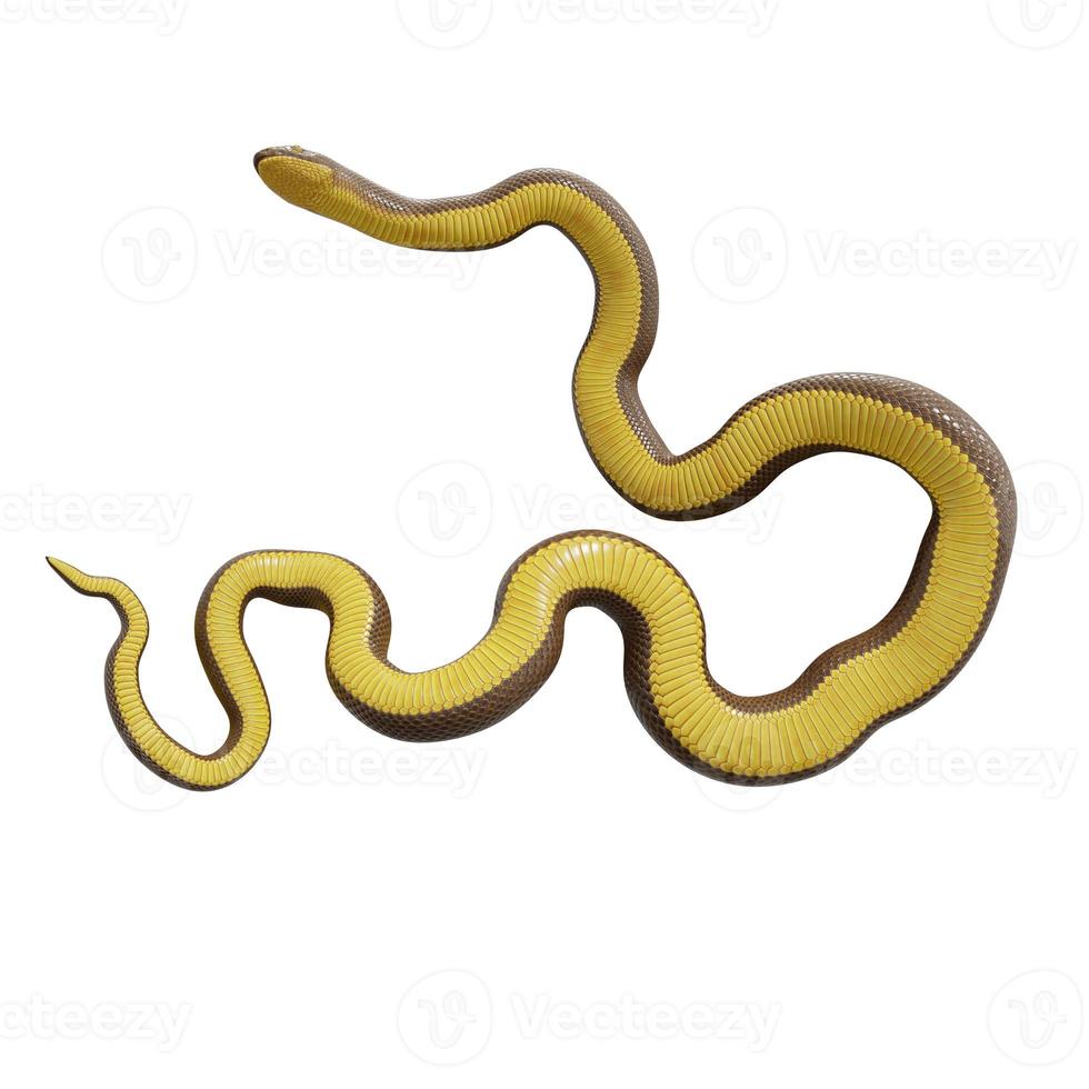 Rubber boa 3d illustration. photo