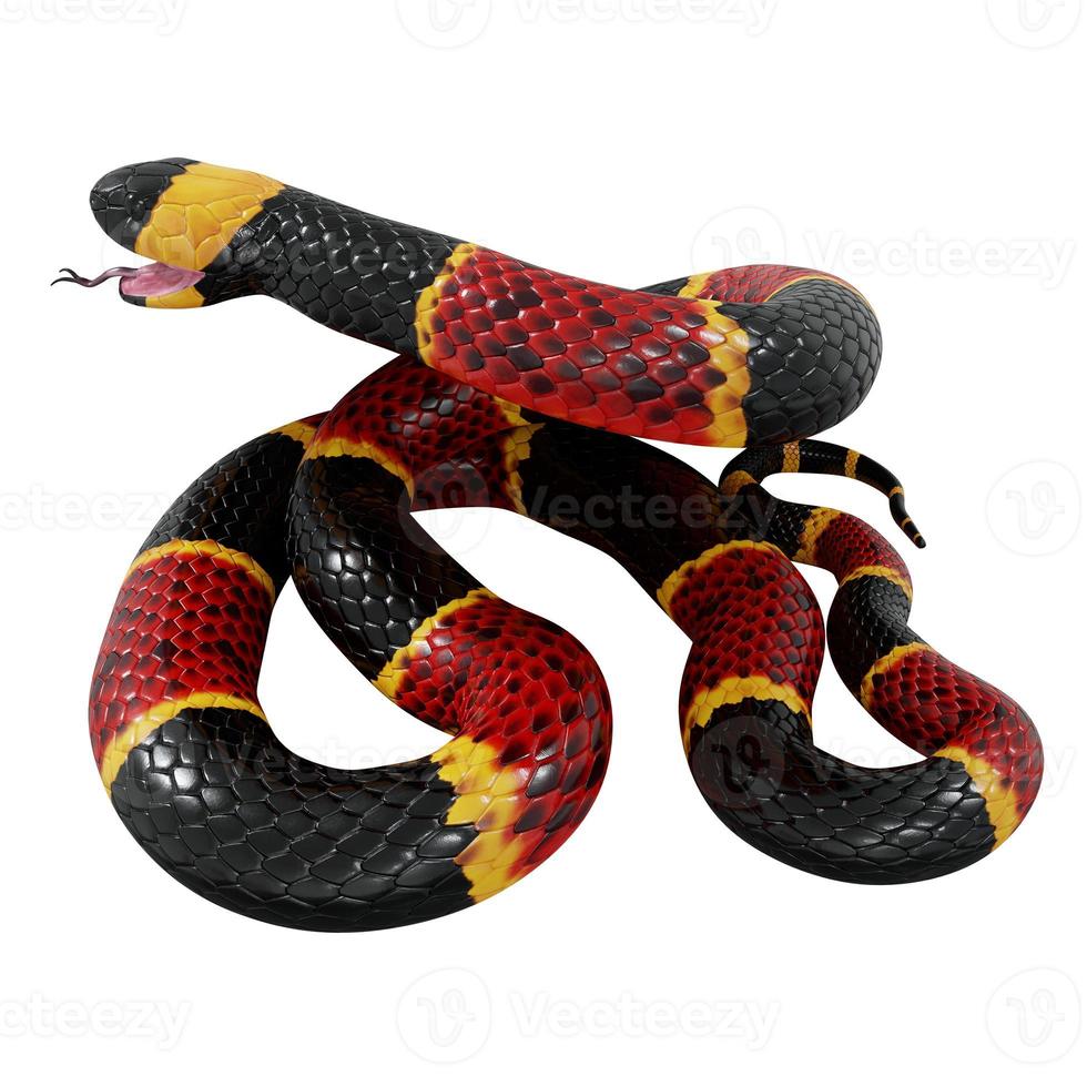 Eastern coral snake 3D illustration. photo