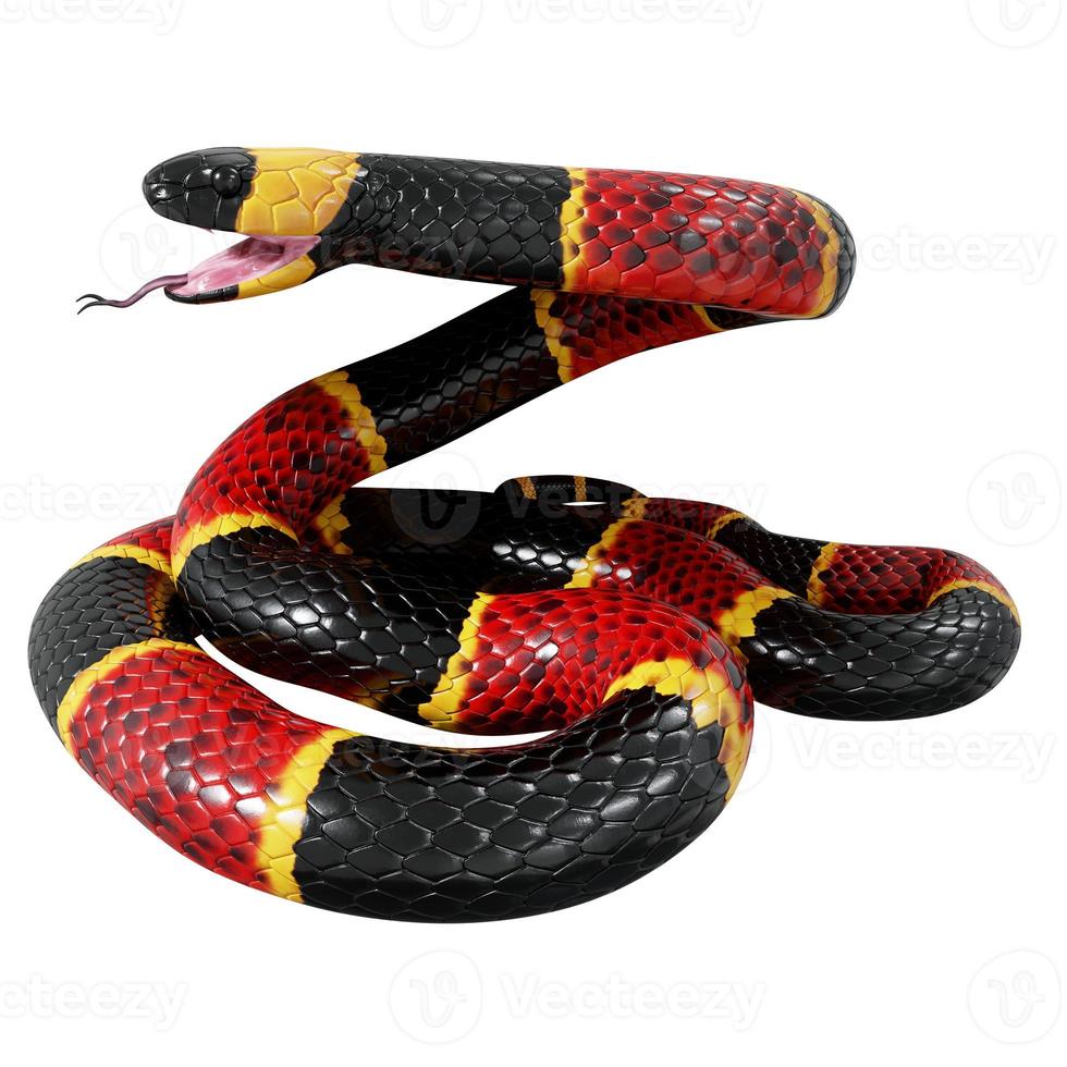 Eastern coral snake 3D illustration. photo