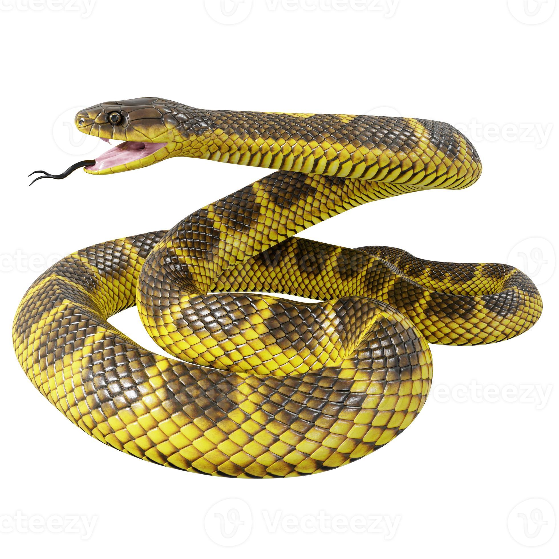 Tiger snake 3D illustration. 11800835 Stock Photo at Vecteezy