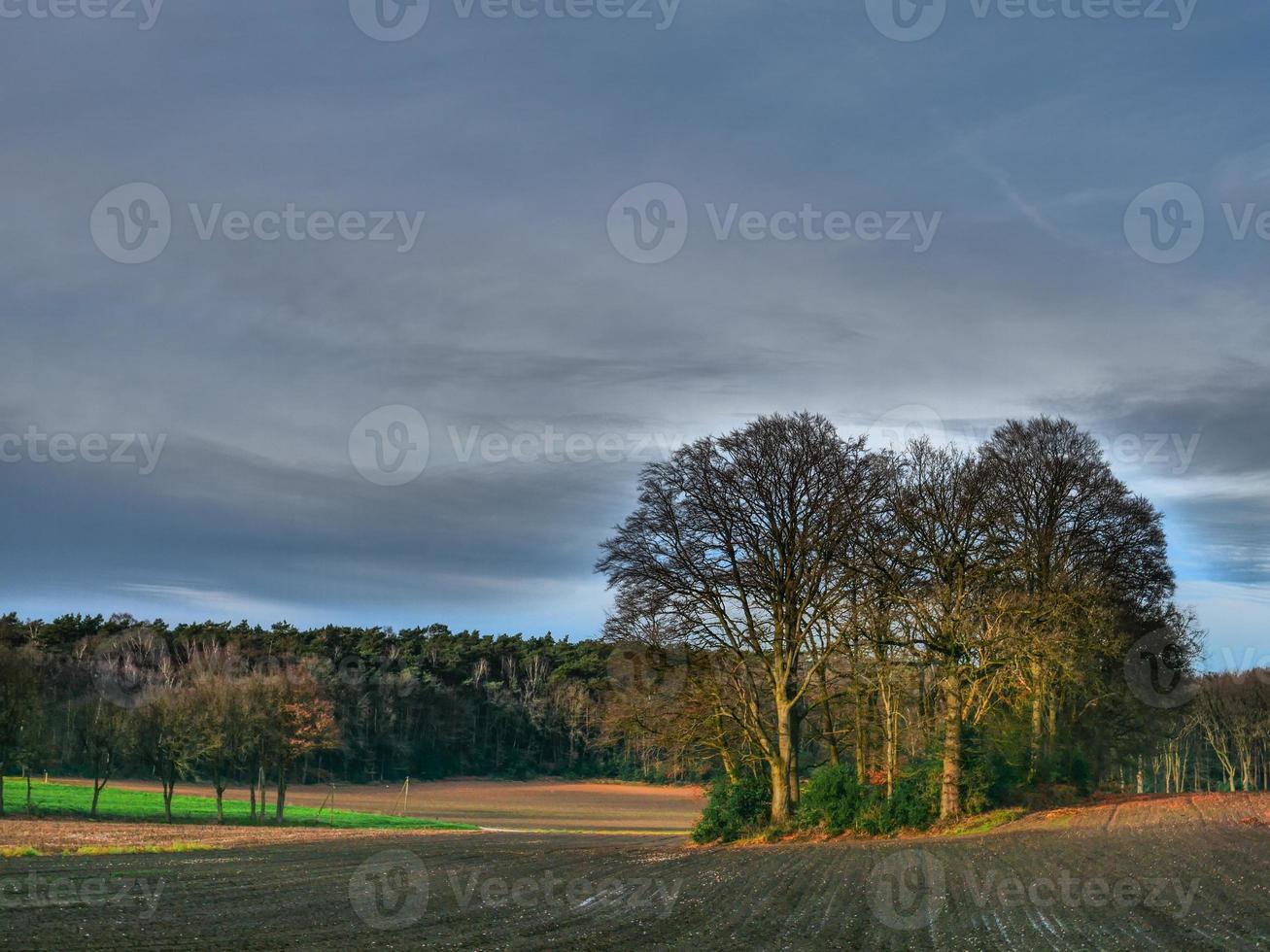 hiking near reken in the german muensterland photo