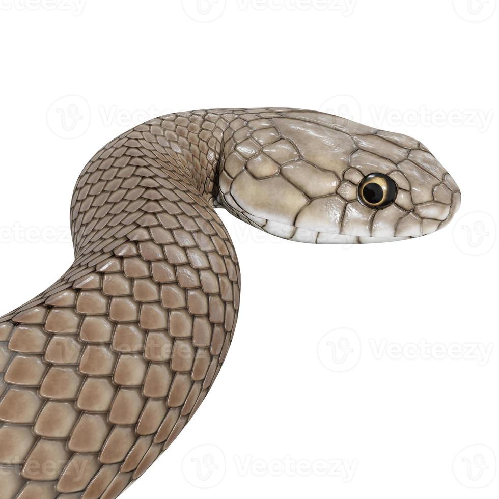 ilustración 3d de serpiente marrón oriental foto