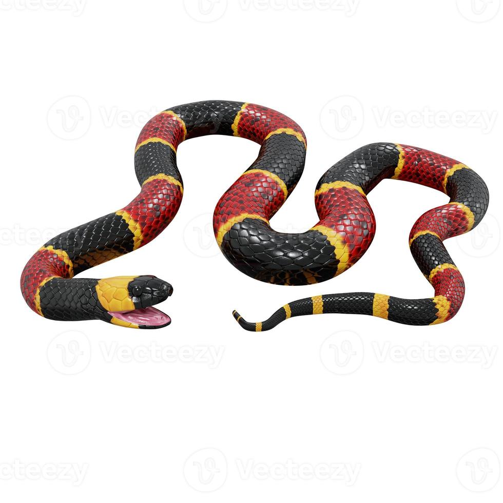 Eastern coral snake 3D illustration. photo