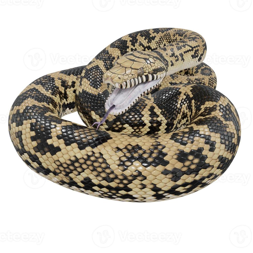 Scrub python 3D illustration. photo