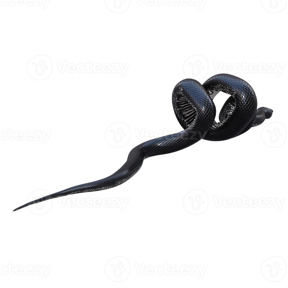 Black rat snake 3D illustration. photo