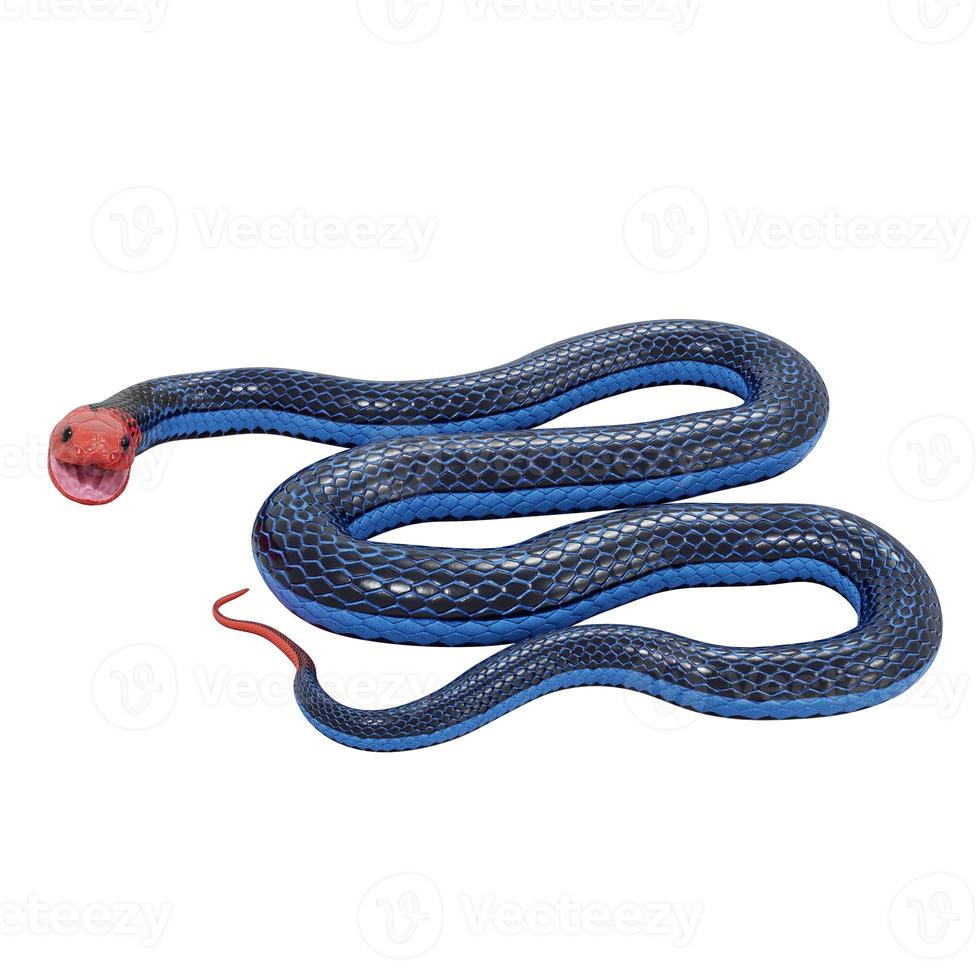 Blue coral snake 3D illustration. photo