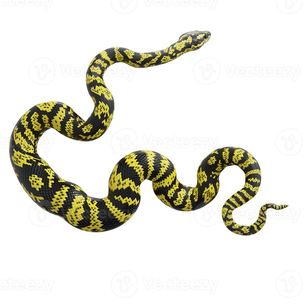 Zebra jungle carpet python 3D illustration. photo