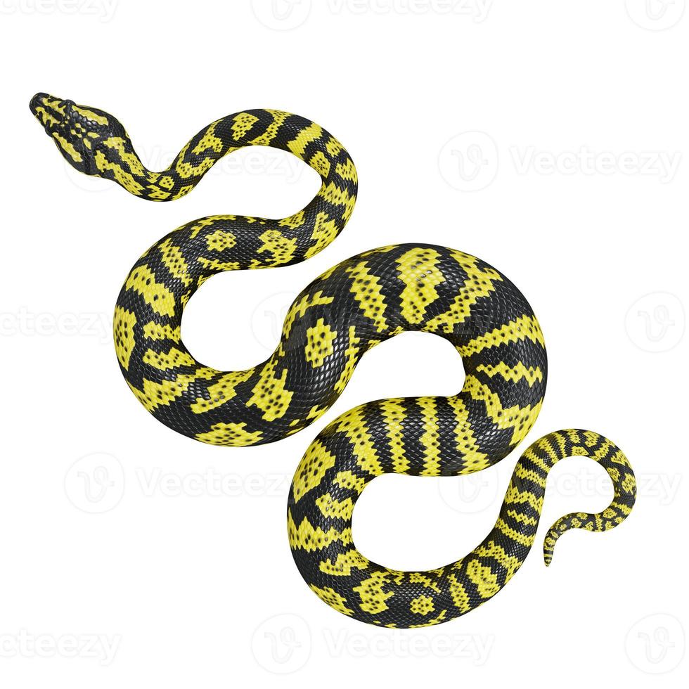 Zebra jungle carpet python 3D illustration. photo