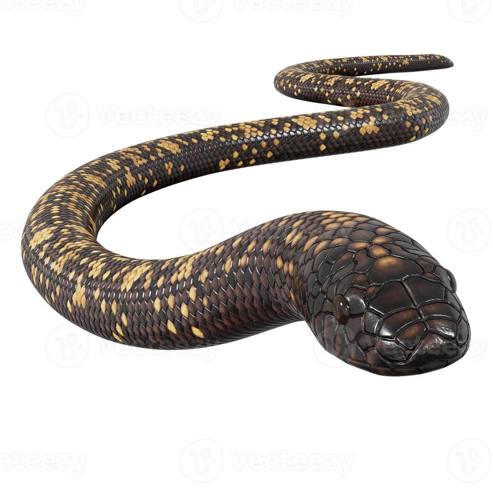Calabar python 3D illustration. 11800805 Stock Photo at Vecteezy