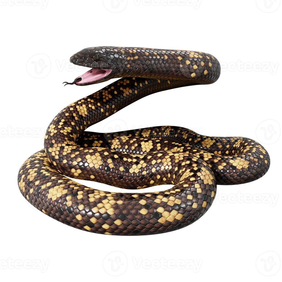 Calabar python 3D illustration. 11800816 Stock Photo at Vecteezy