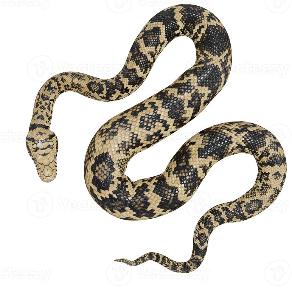 Scrub python 3D illustration. photo
