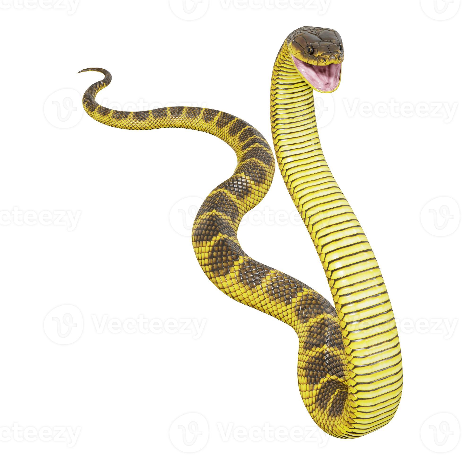 Tiger snake 3D illustration. 11800835 Stock Photo at Vecteezy