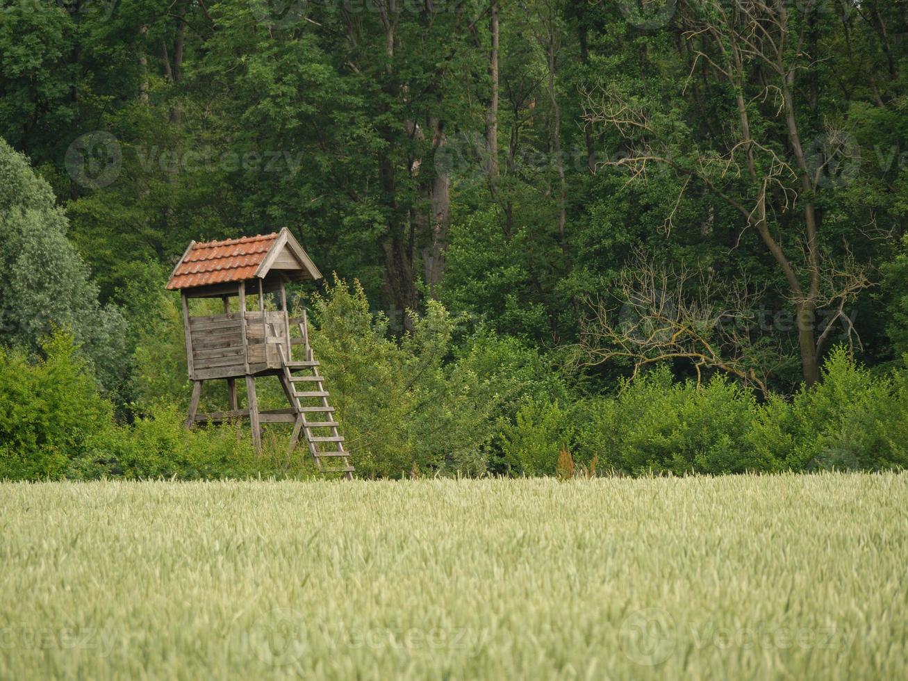 Velen city in westphalia photo