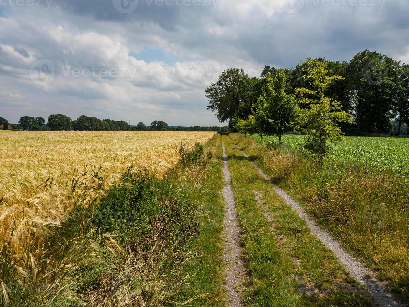 hiking near reken in the german muensterland photo