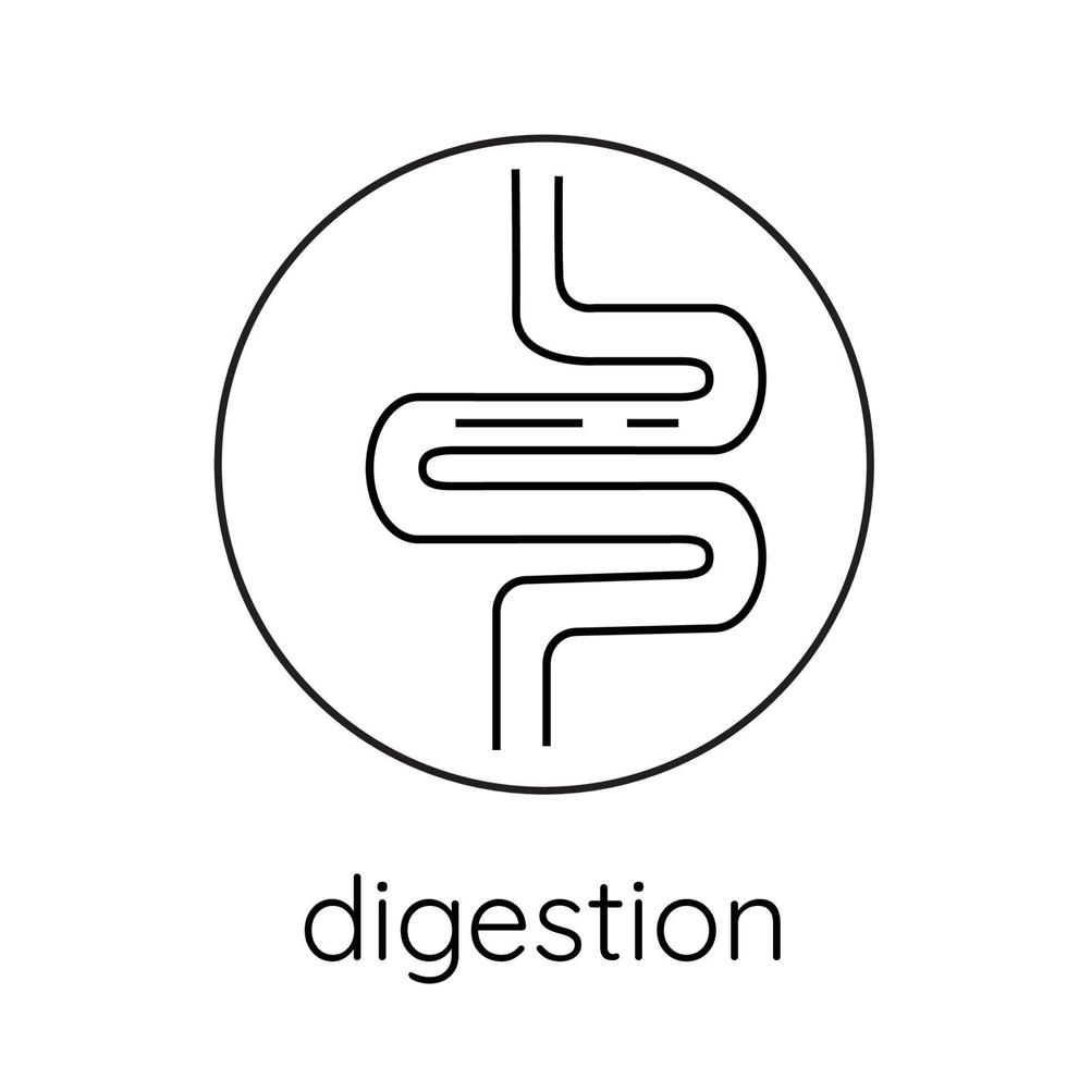 Line icon intestines, digestion vector