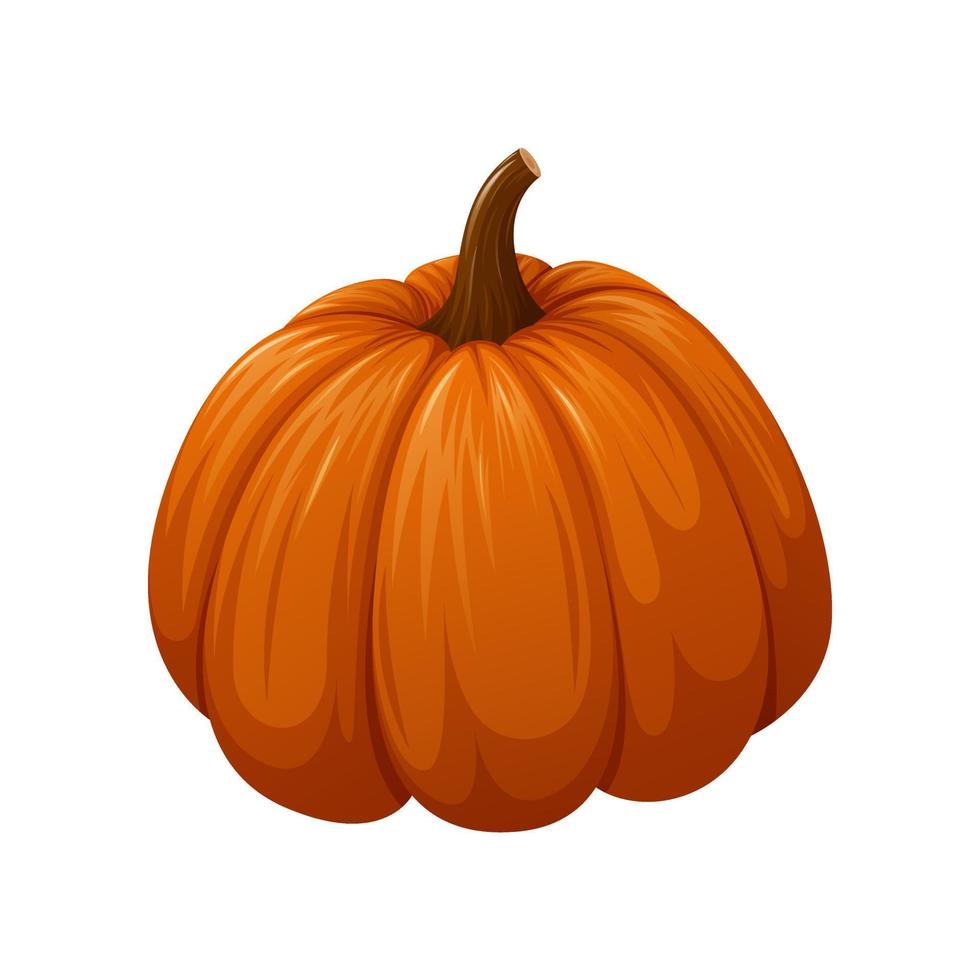 calabaza, ilustración vectorial de dibujos animados. verdura naranja de otoño. para comida, halloween. vector