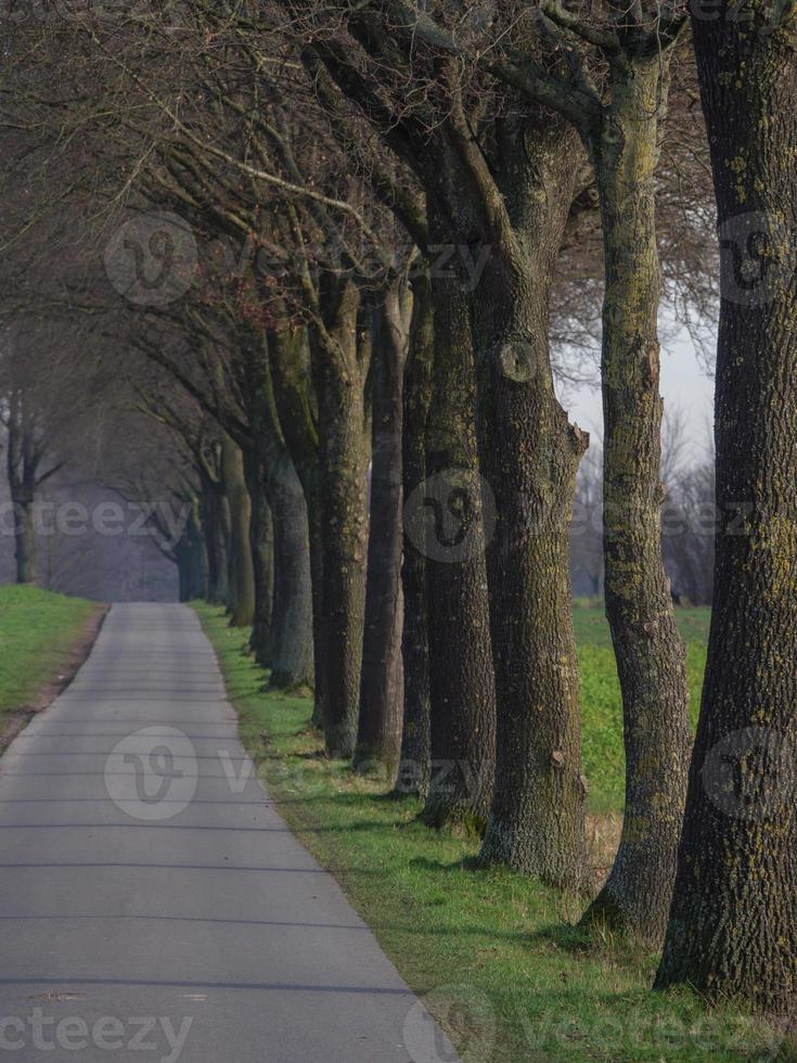 en el muensterland alemán foto