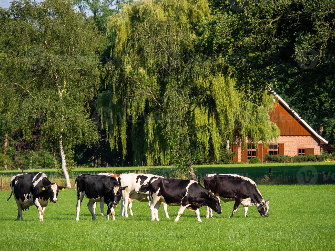 Winterswijk in the netherlands photo