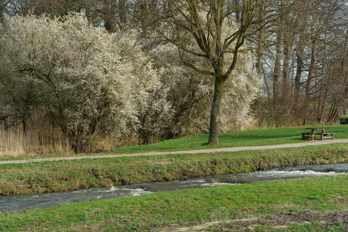 the aa river in westphalia photo