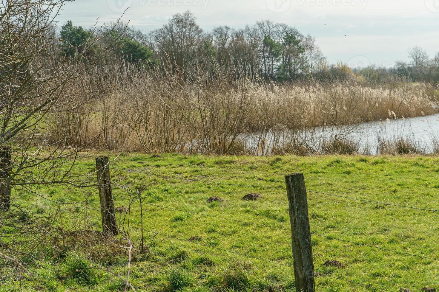 el río aa cerca de borken en alemania foto