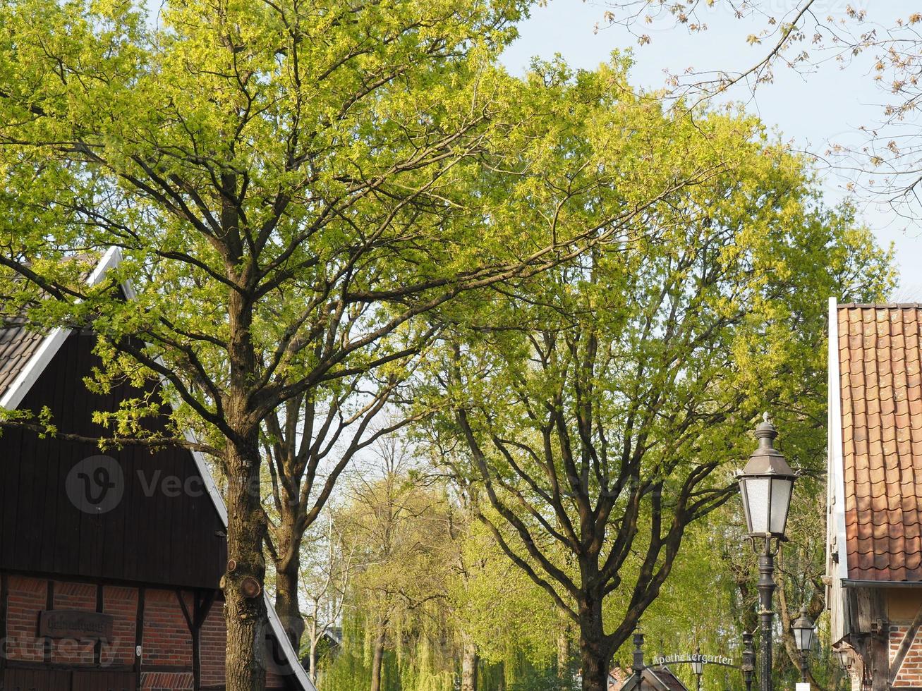 spring time in the german village weseke photo