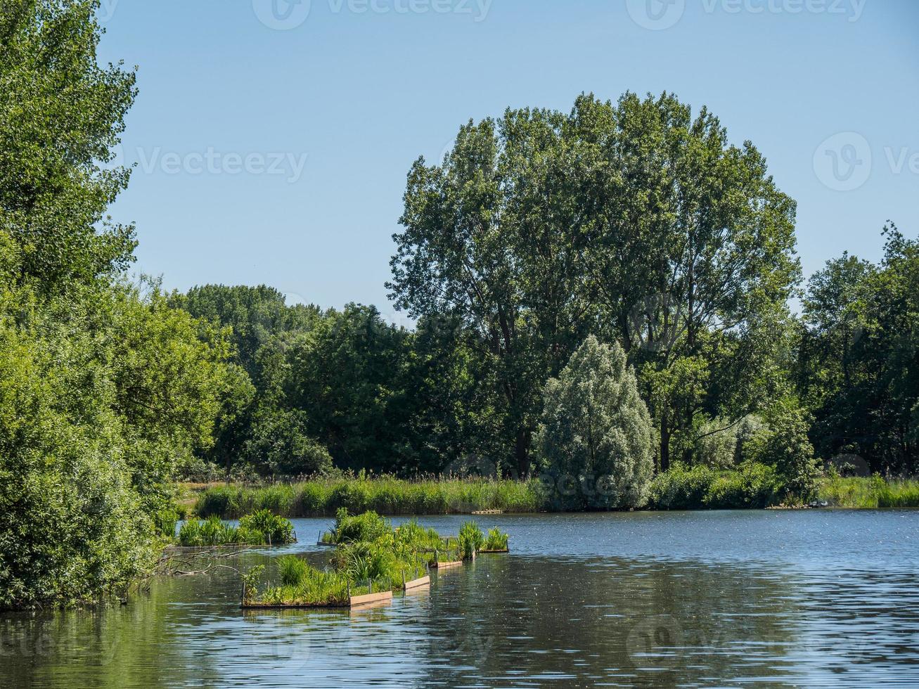 smal lake in westphalia photo